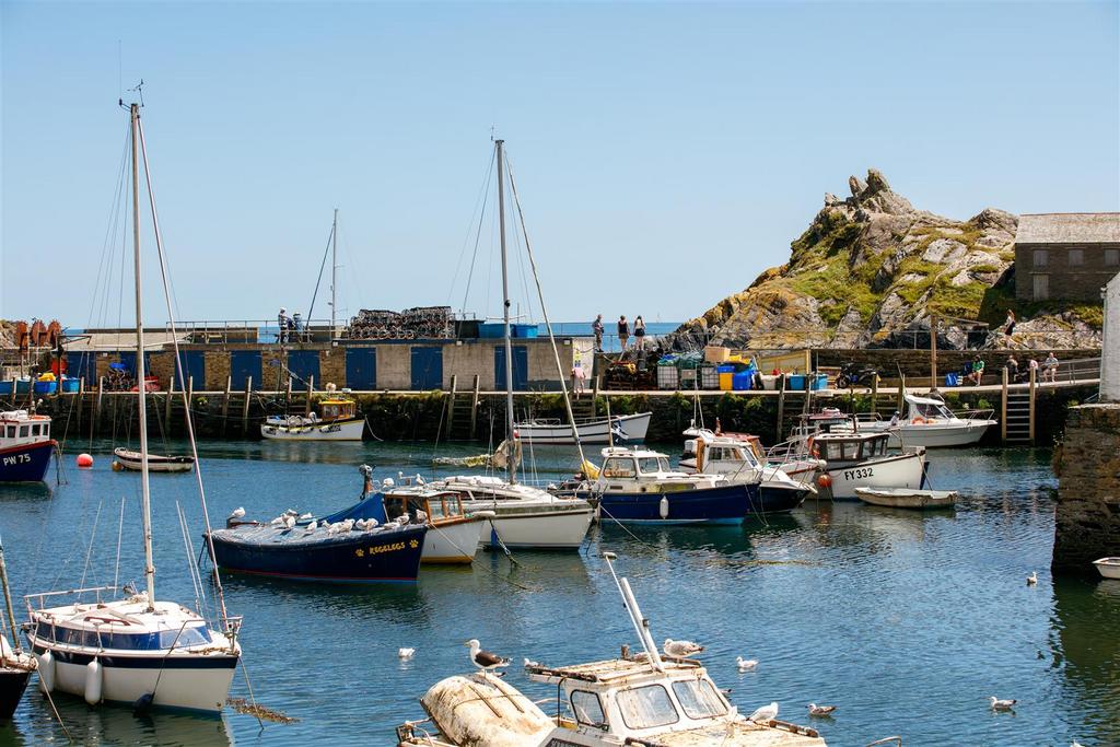The harbour