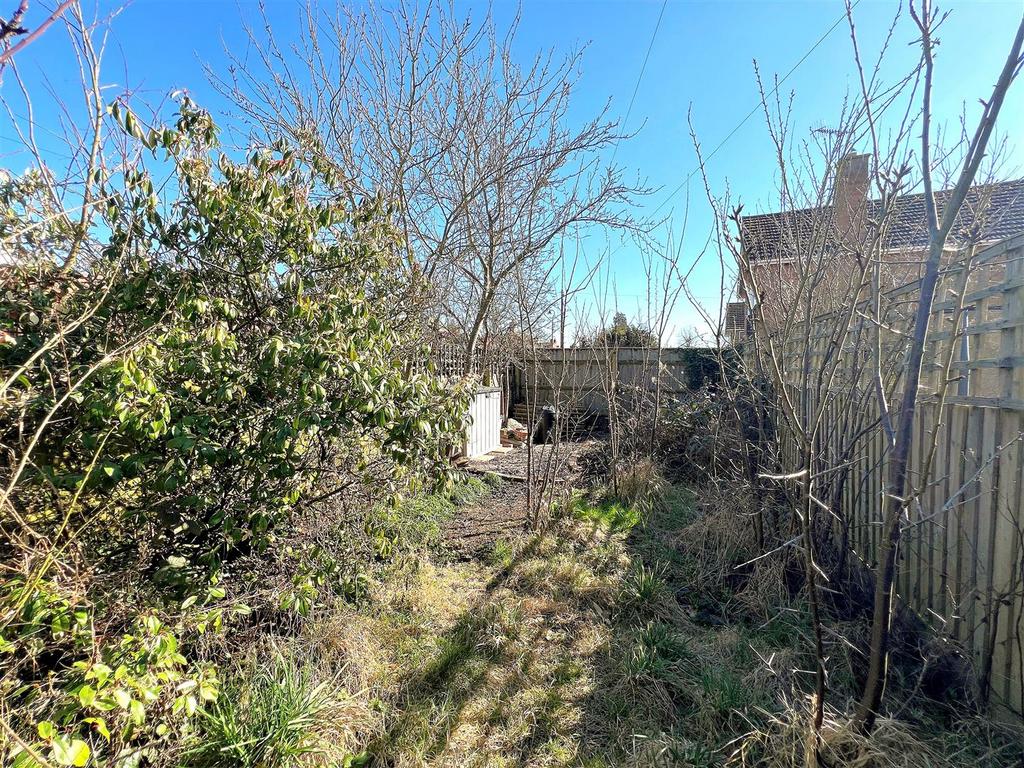 Garden 2.jpg