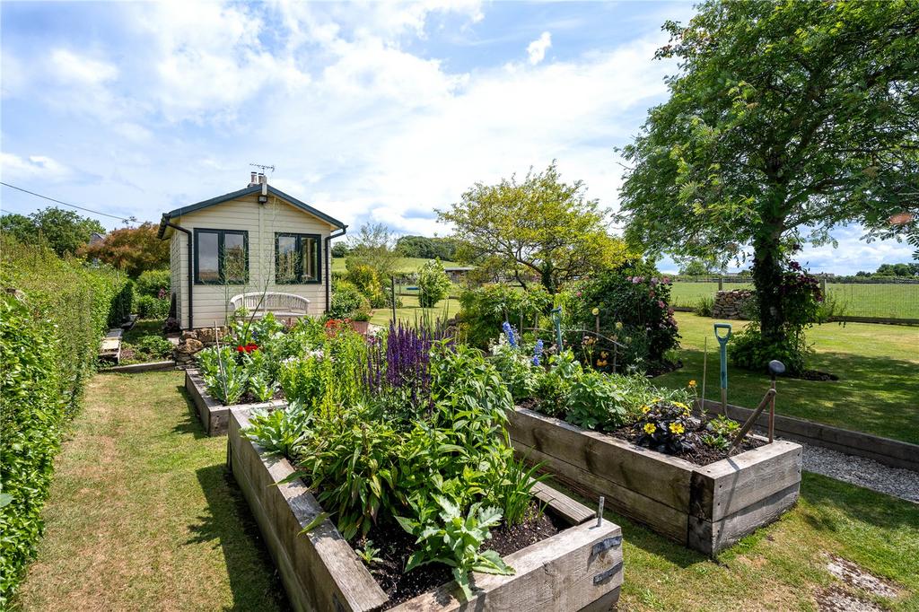 Vegetable Garden
