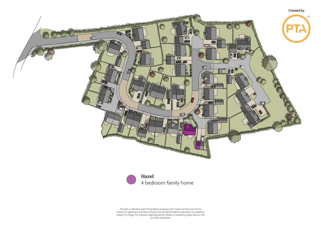 Hazel Plan
