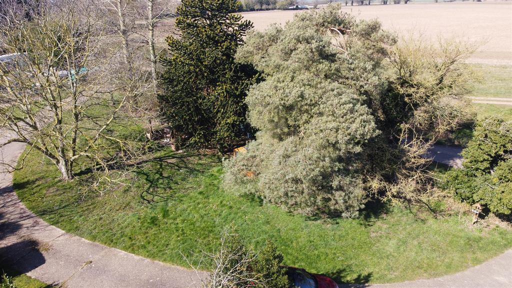 Dji 0834.jpg