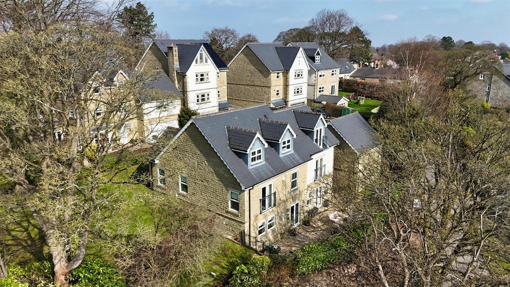 Dji 20250324114107 0514 d.jpg