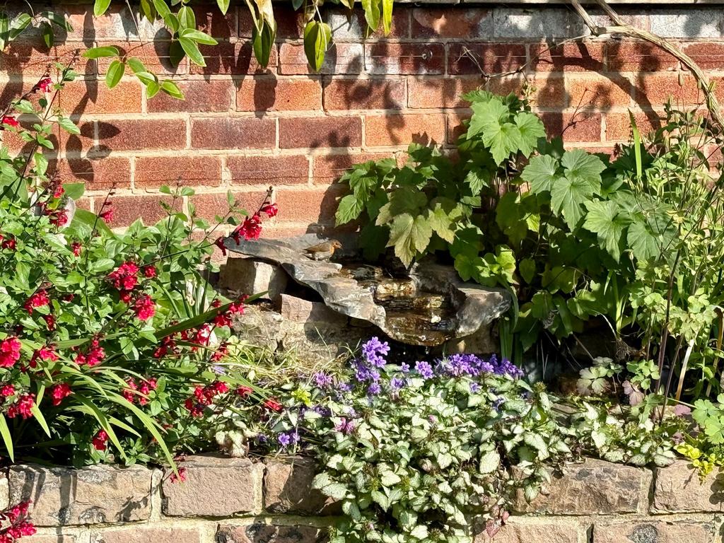 Garden feature