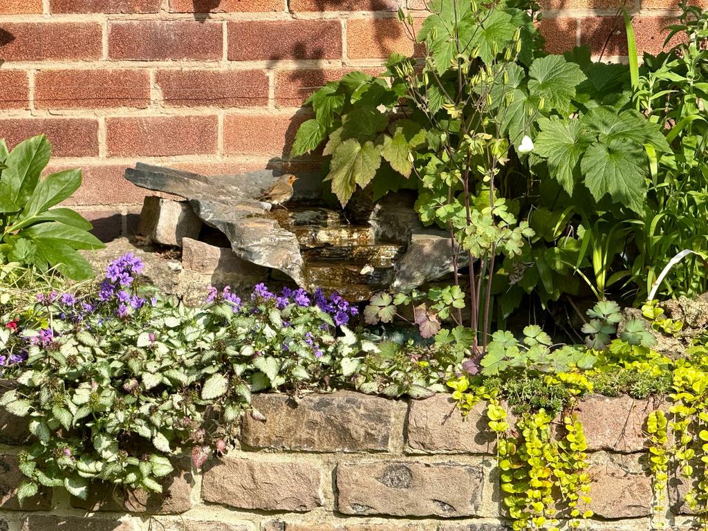 Rear garden feature