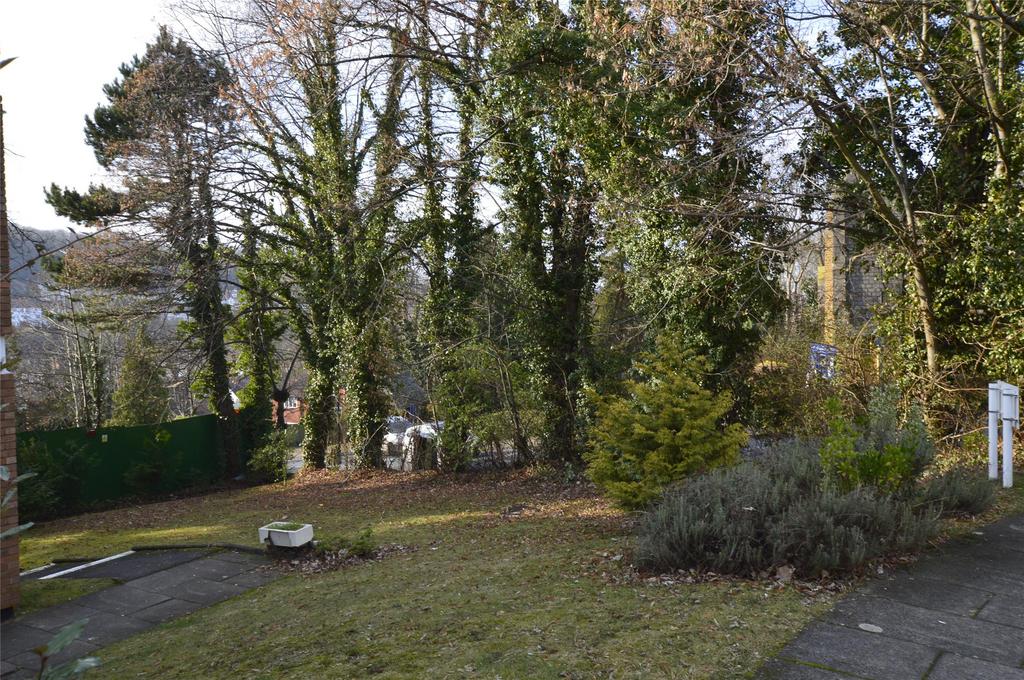 Comunial Garden