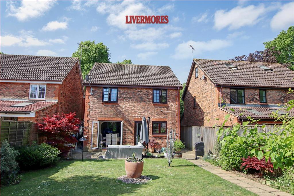 New Rear.jpg