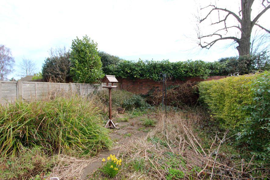 Photograph 11