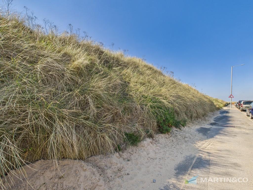 Cam02318 g0 pr0413 still006