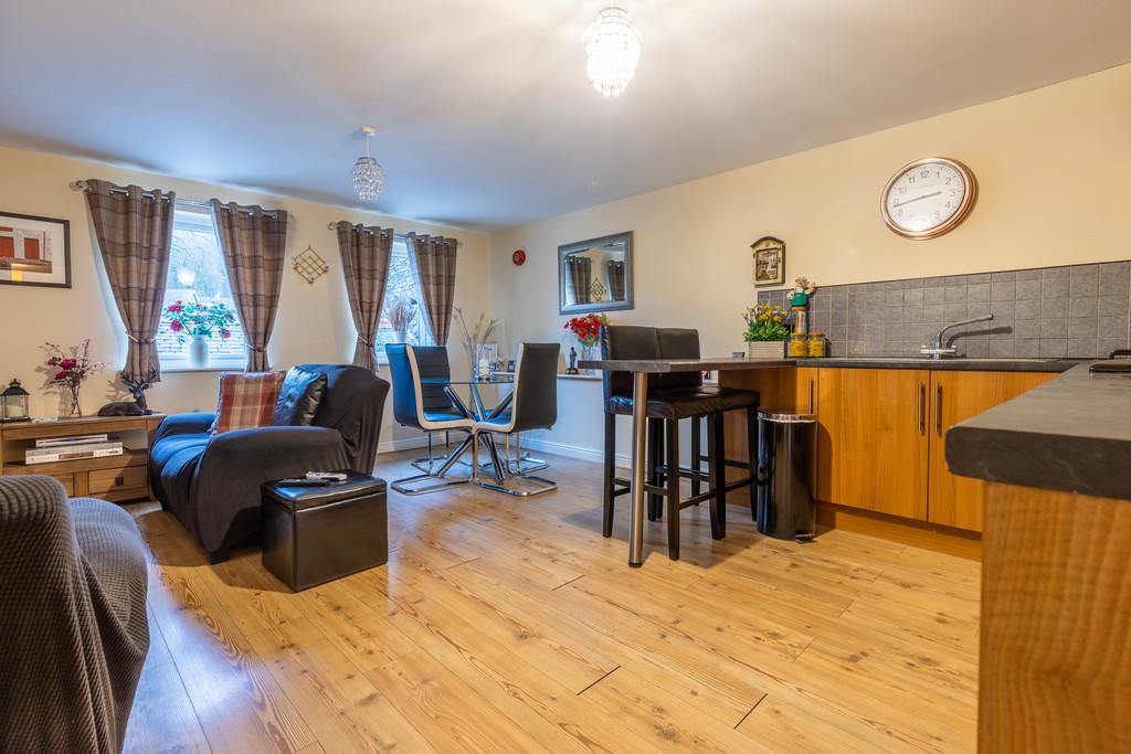 Living Room/Kitchen Area