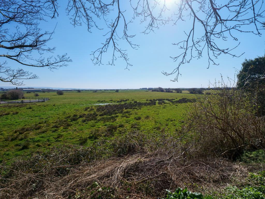 View From The Rear Garden