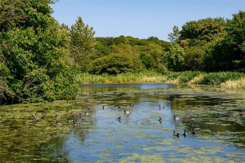 Logie House Pond