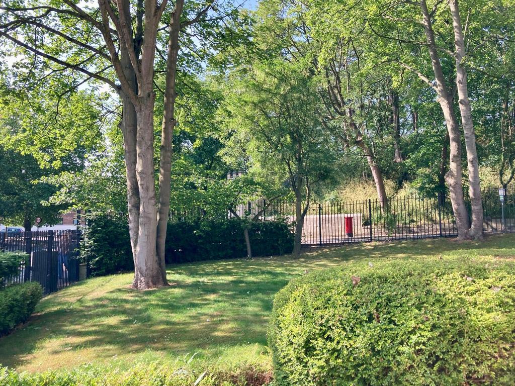 Communal Garden Area