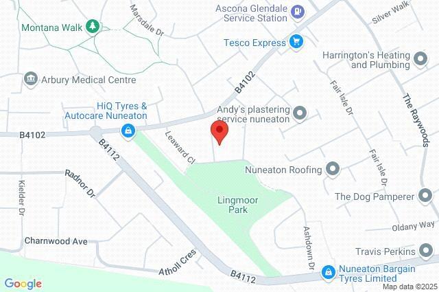 Google Maps Image