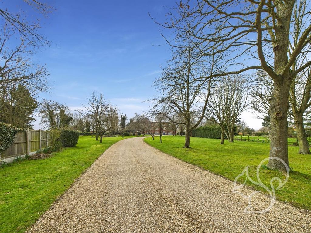 Driveway
