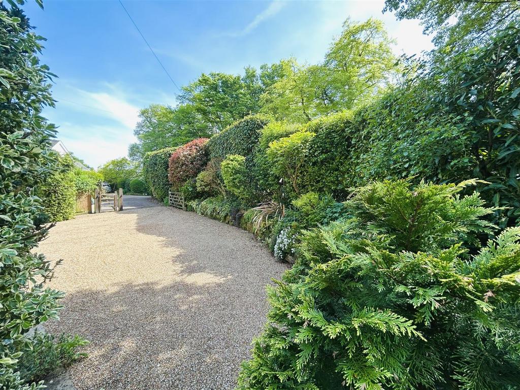 Driveway.jpeg