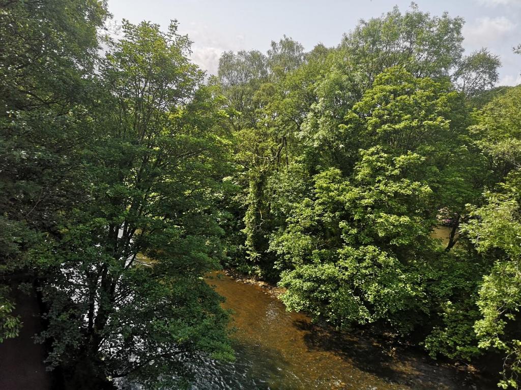 IMG 20250604 113845.jpg