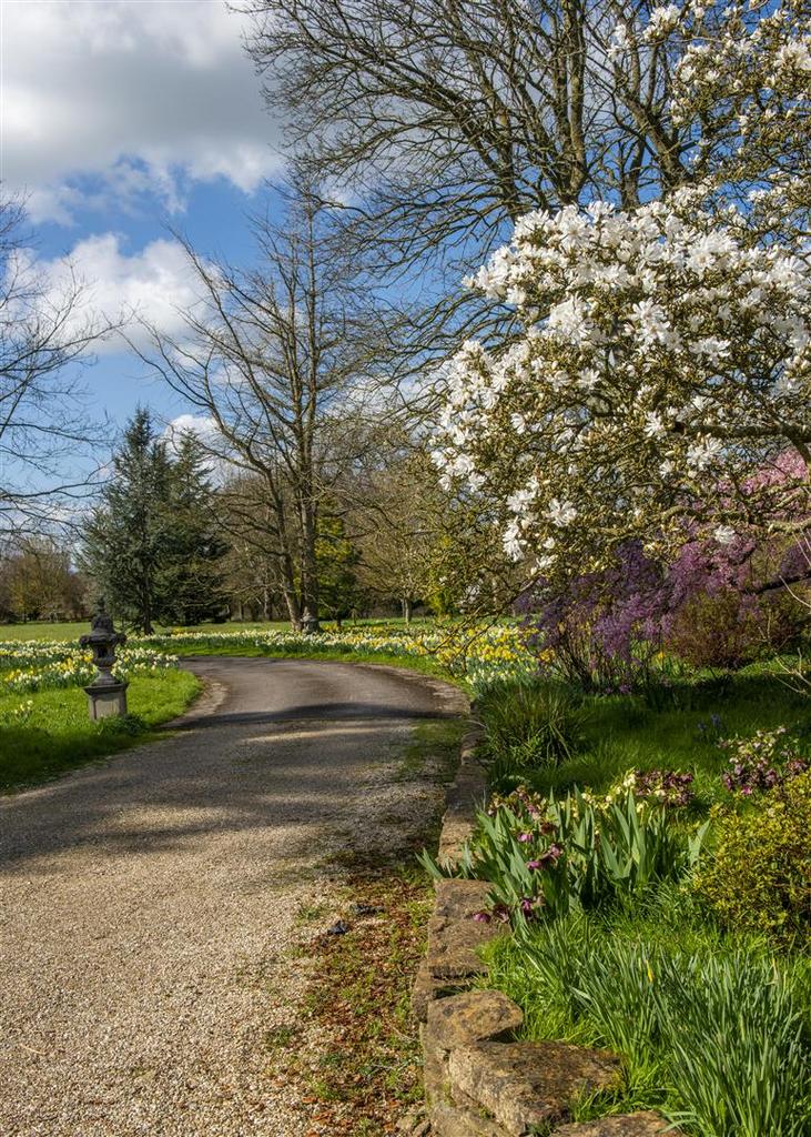 Gardens.jpg