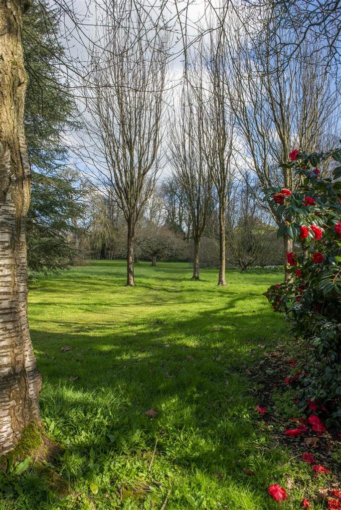 Garden.jpg