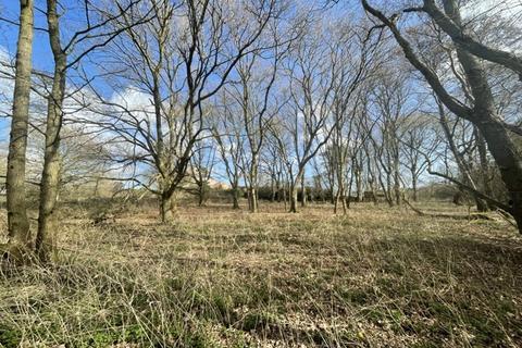 Farm land for sale, 0.67 Ha (1.66 Ac) Arable Land/Woodland, School Road , Horning , Norwich , Norfolk, NR12