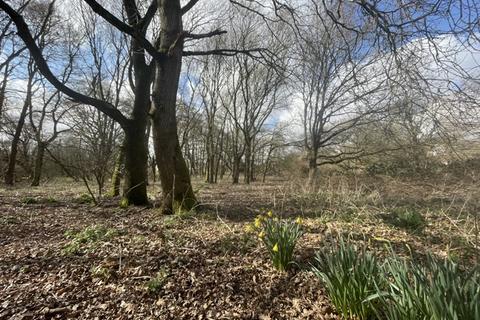 Farm land for sale, 0.67 Ha (1.66 Ac) Arable Land/Woodland, School Road , Horning , Norwich , Norfolk, NR12