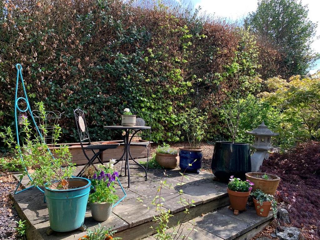 Rear garden