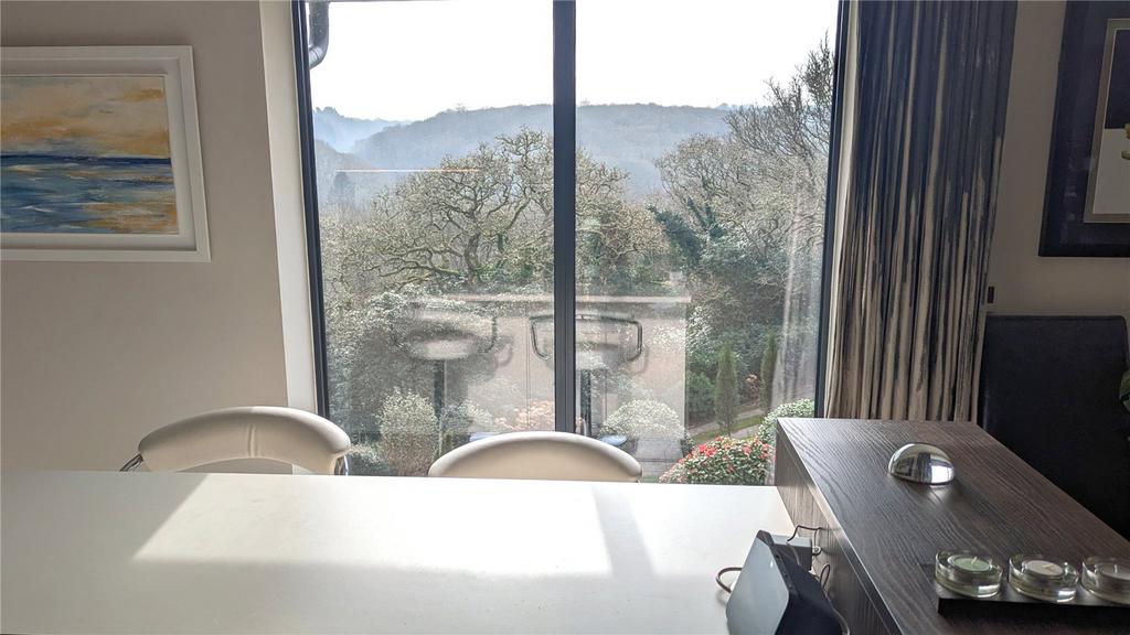 Kitchen and View