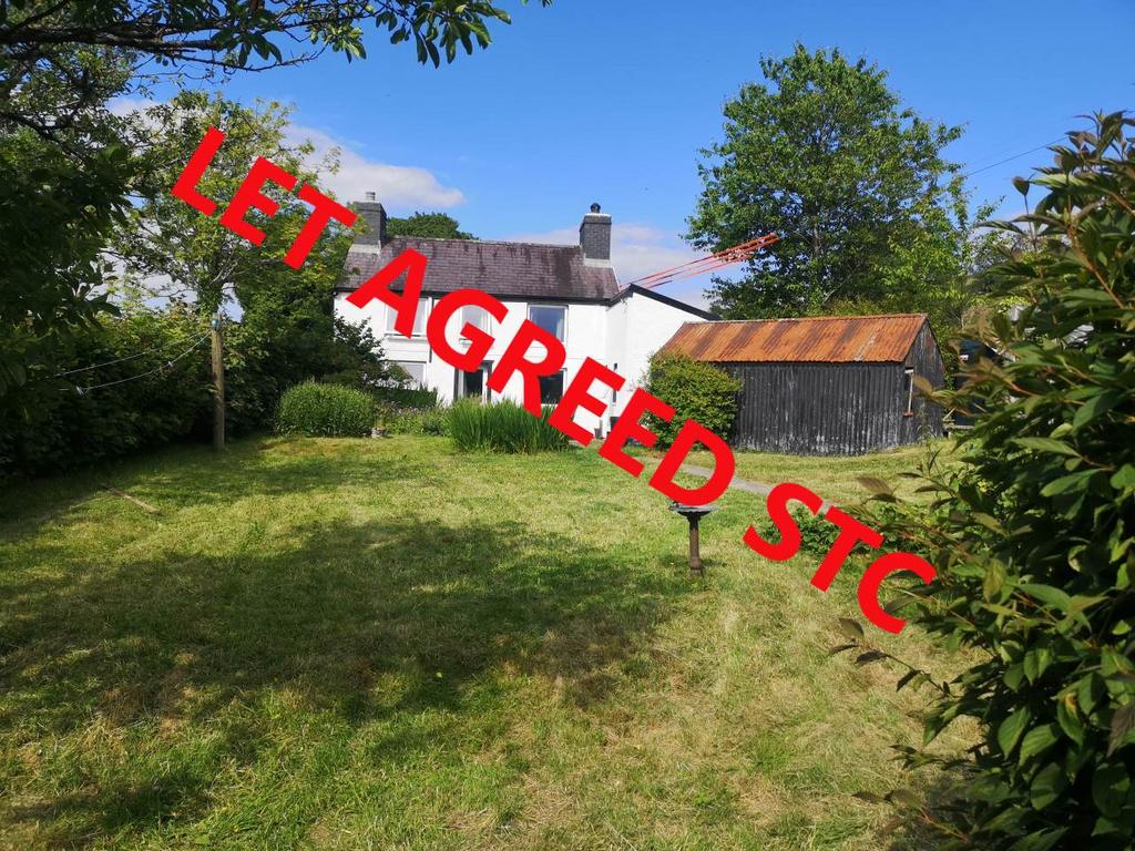 Panty let agreed new