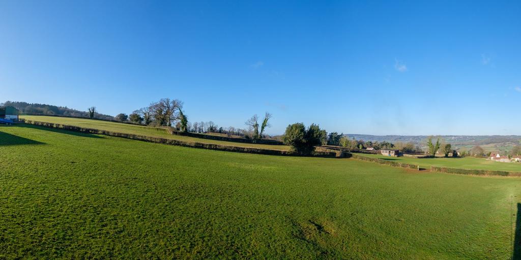 Views from The Paddocks
