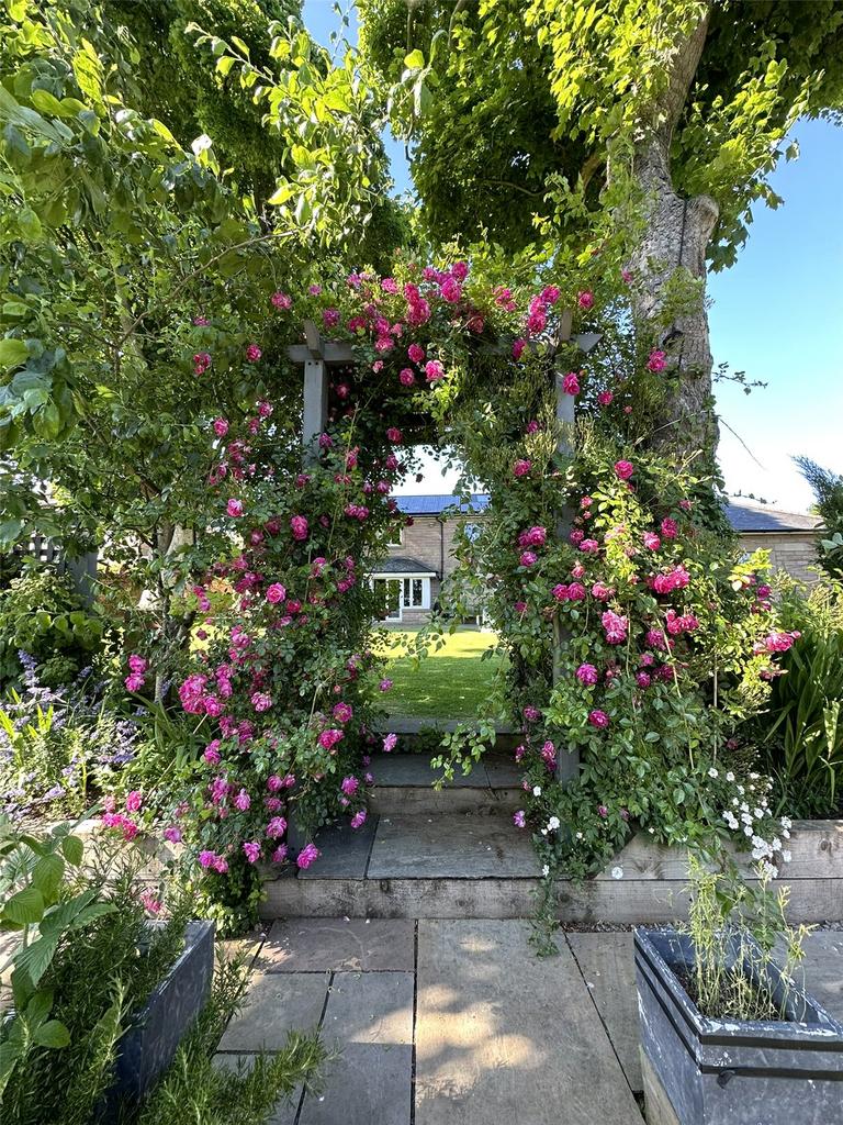 Garden In Summer