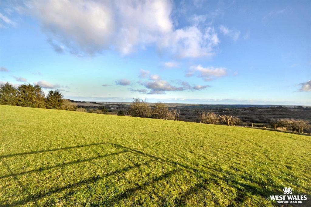 Field / Paddock