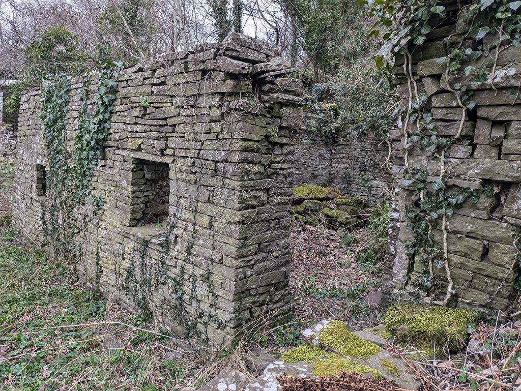 Derelict House