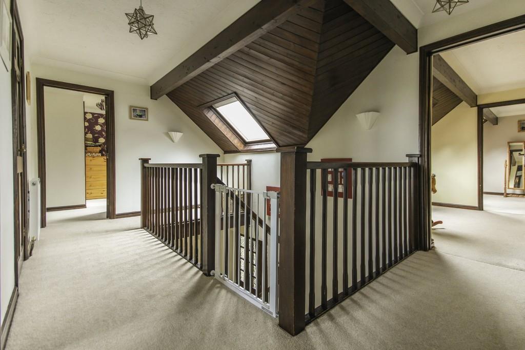 IMG 61191 10 large.jpg