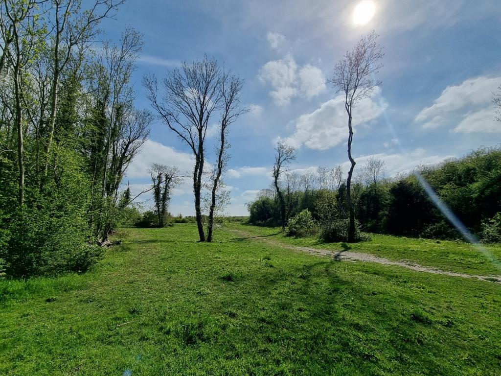 The Nature Reserve