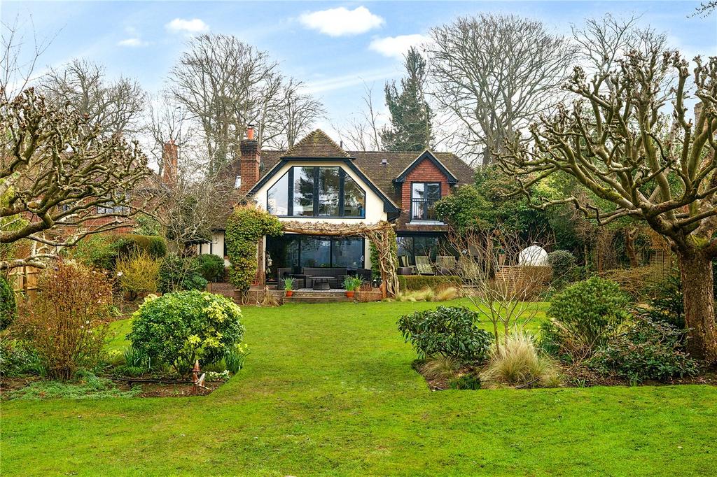 Rear
