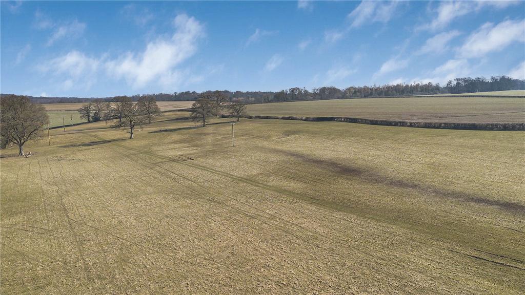 Field View