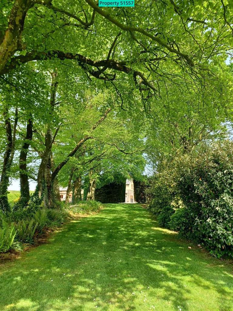 Woodland Walk