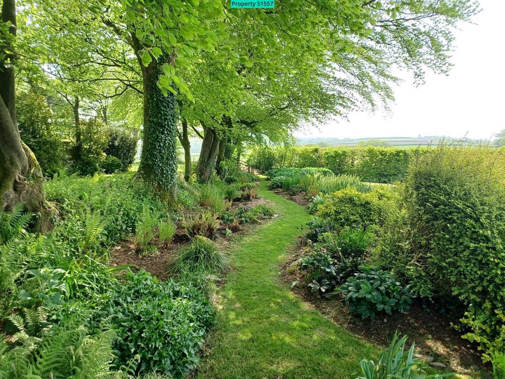 Fern Walk