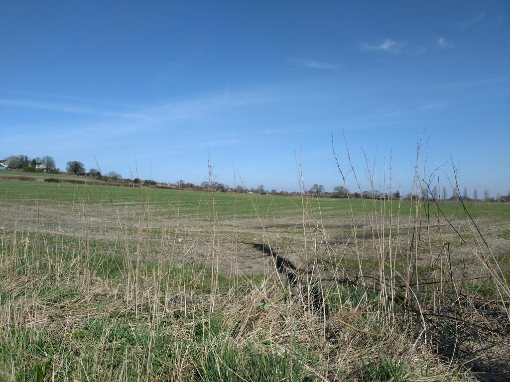 Nearby Countryside