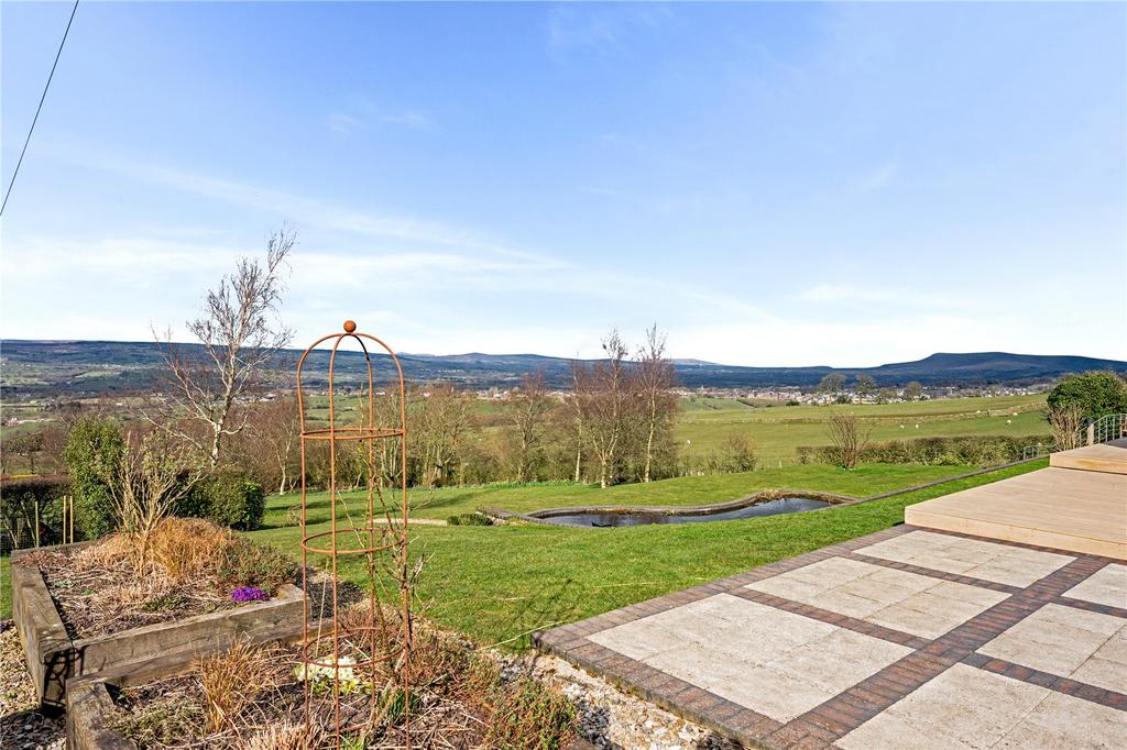 Patio and View