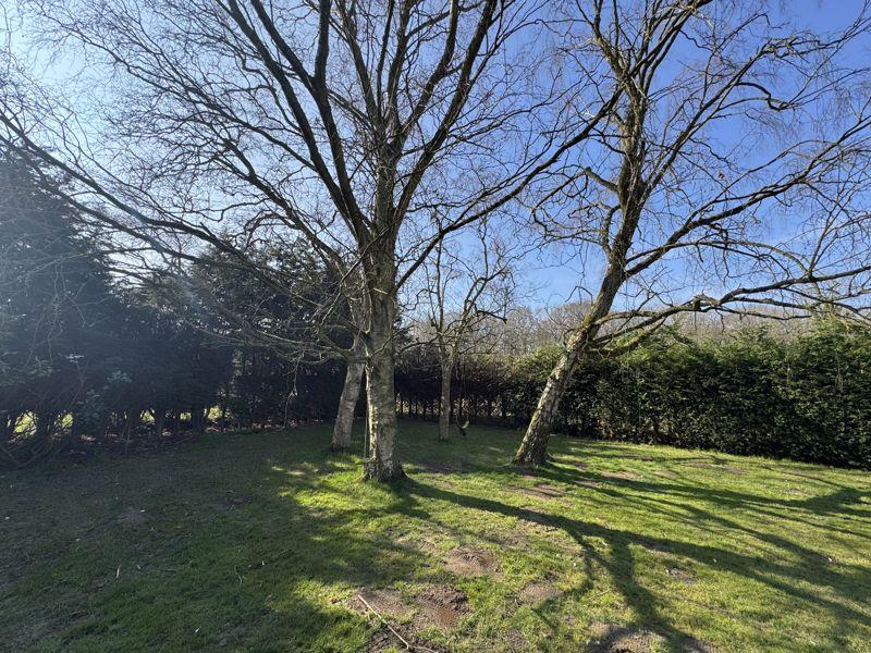 Grounds view 3