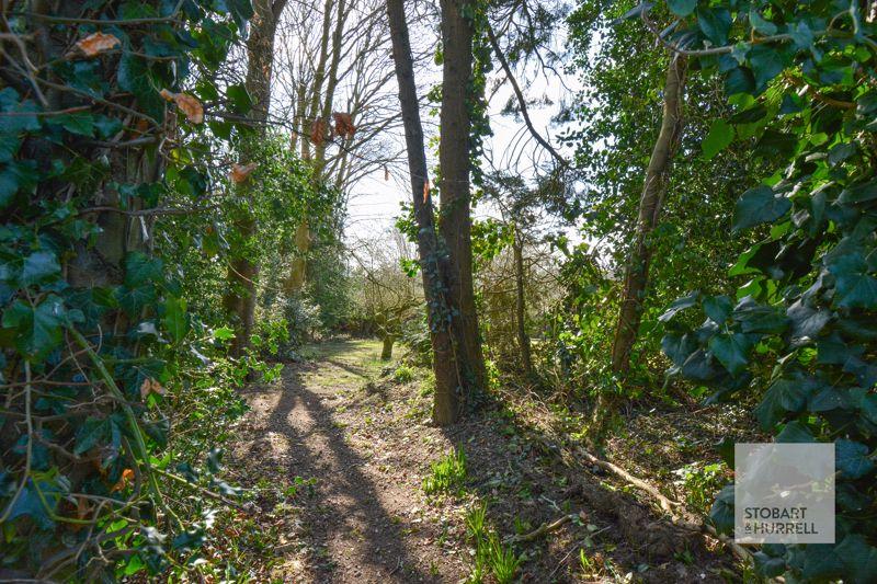 Woodland