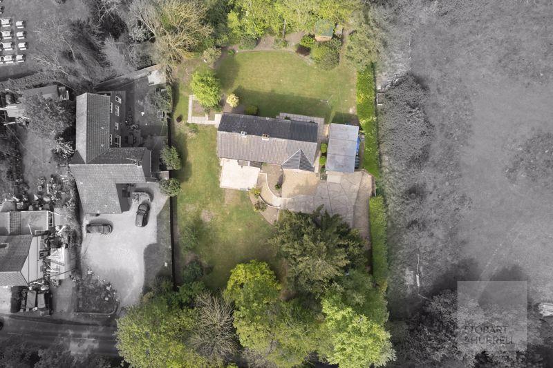 From Above