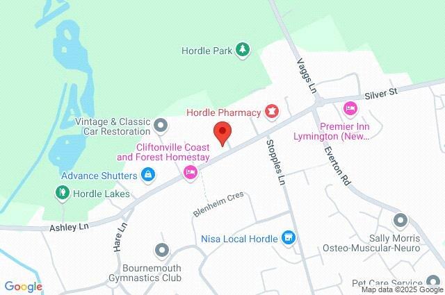 Google Maps Image
