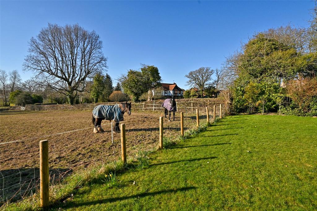 Picture No. 32