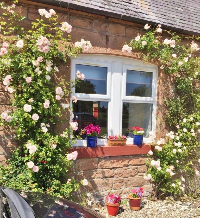 Summer rose window
