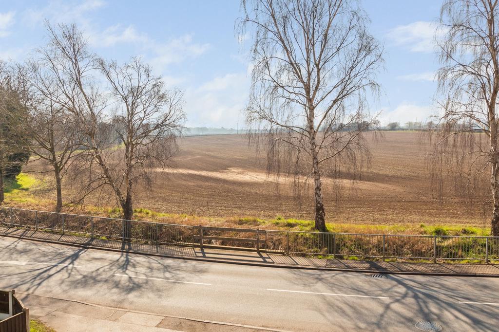Field Views
