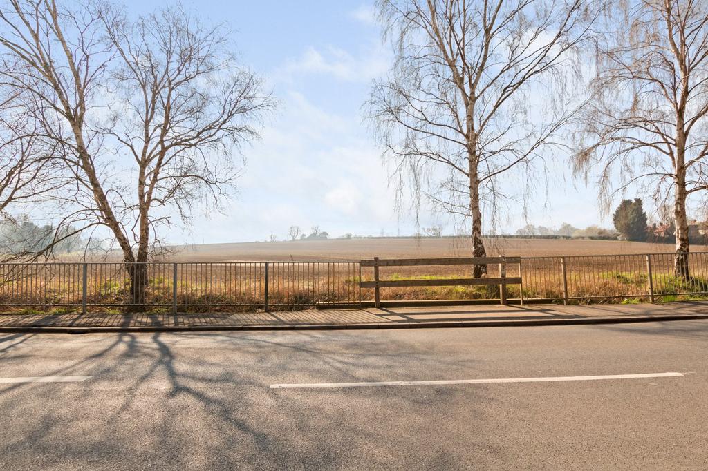 Field Views
