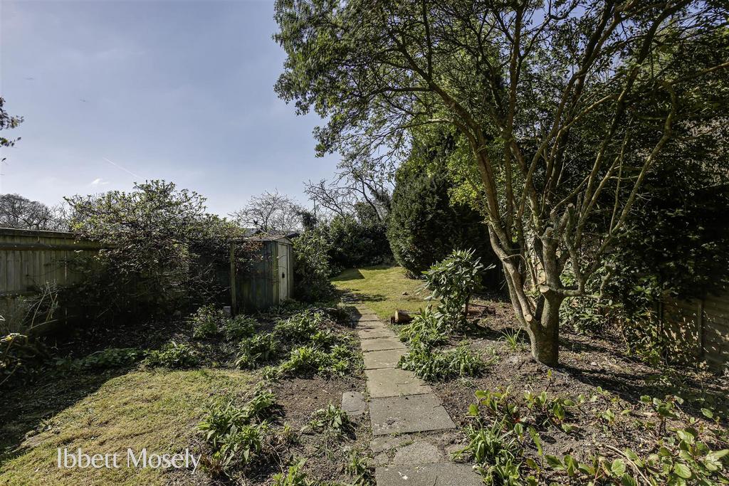 New garden (1).jpg