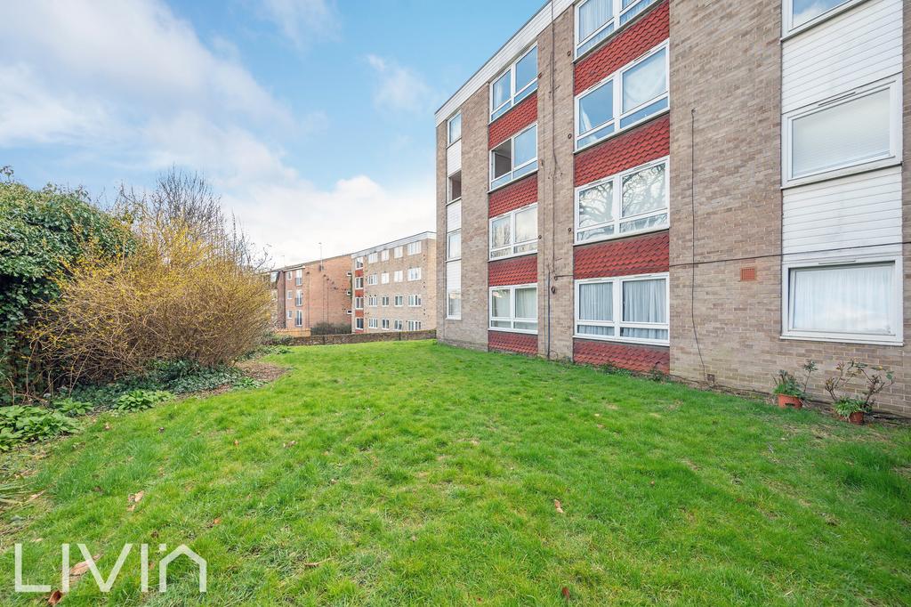 Bramley hill, 18, 3 25.jpg