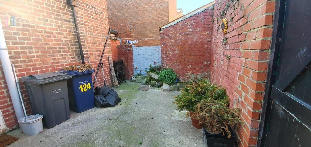 Back Yard.jpg